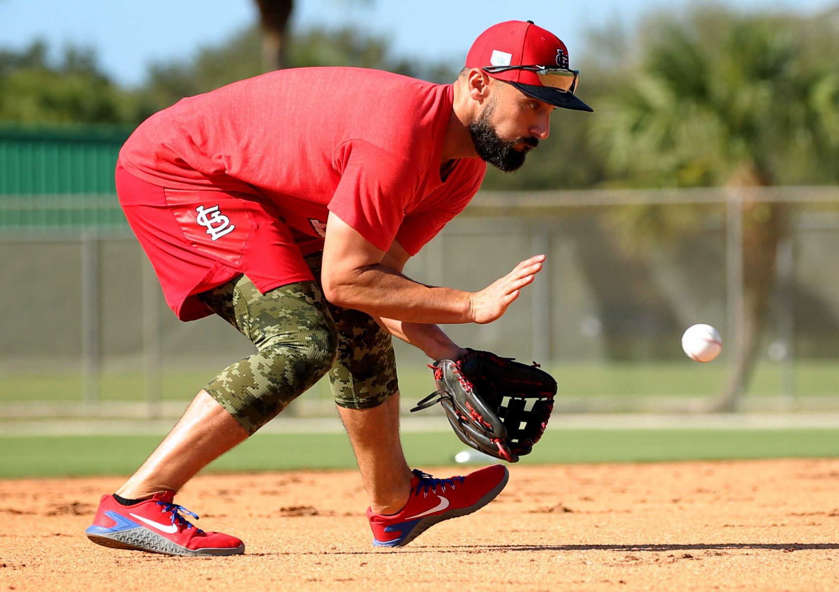 2019 Cardinals spring training
